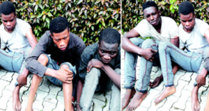 Police Arrest Cult Members