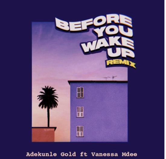 Adekunle Gold Before You Wake Up Remix