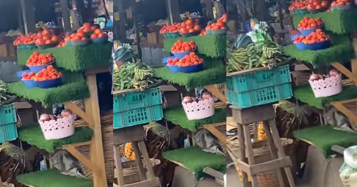 “Omoh the pepper expensive oo” – Lady Expresses Surprise at Trader’s Use of Decorative Carpet Grass to Display Peppers (WATCH)